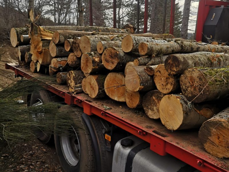 IMG_20250226_085335 (1)